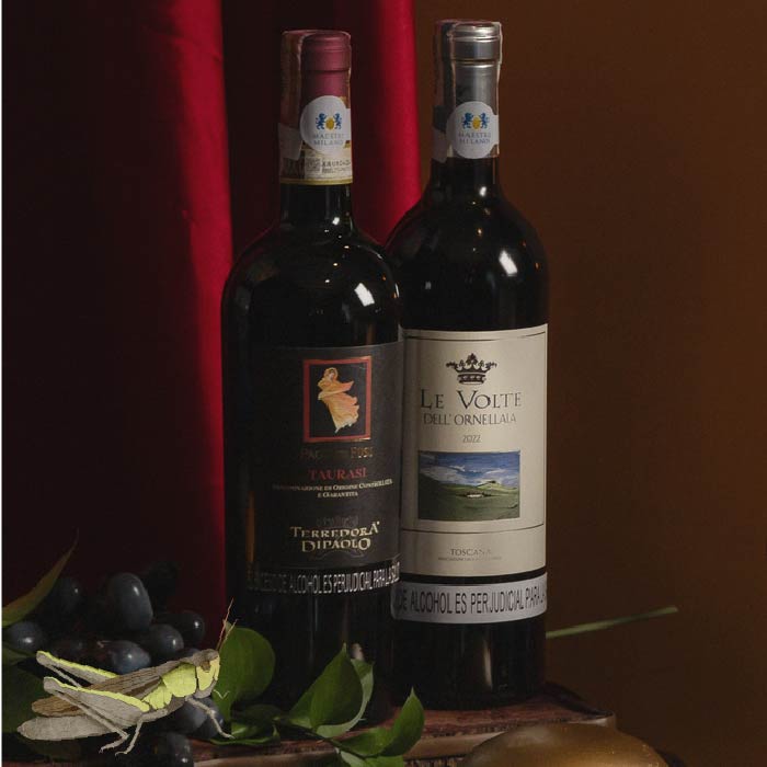 Combo Vinos tintos I