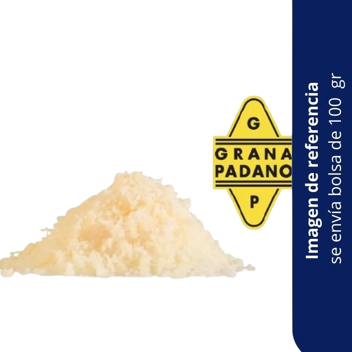 Grana Padano Rallado 100G