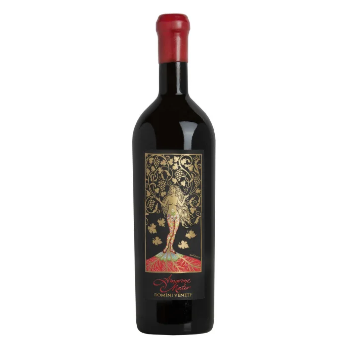 Amarone della Valpolicella Classico Riserva “Mater” Domìni Veneti