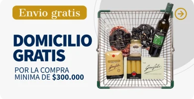 envio gratris mayor 300